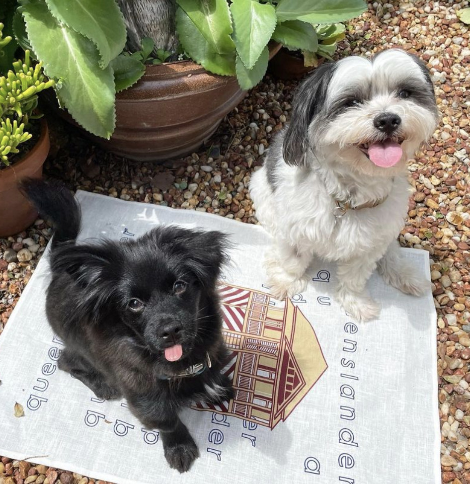 Moss and Claude posing for the Camera with a Queenslander Fan Tea Towel